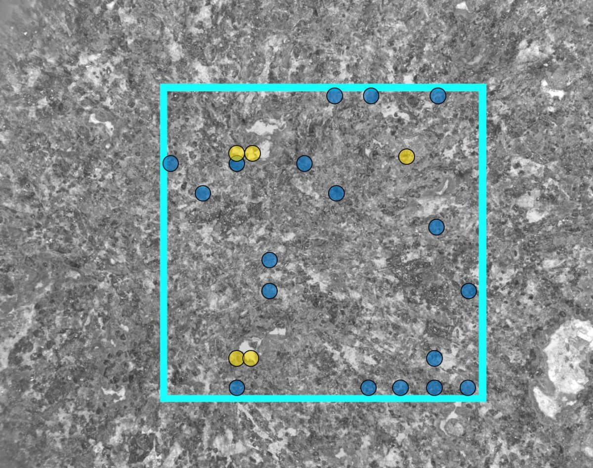 研磨面の中央部分の拡大画像。黄色い点は硫酸塩、青い点はリン酸塩が検出された場所を示す（Credit: JPL-Caltech/MSSS/LANL/Photon Systems/CIW/University of Pittsburgh）