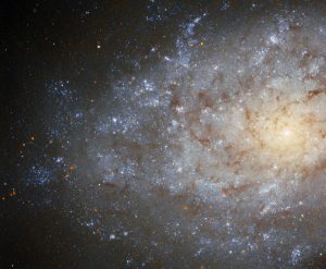 南天の夜空に輝く羊毛のような渦巻銀河「NGC 7793」の姿