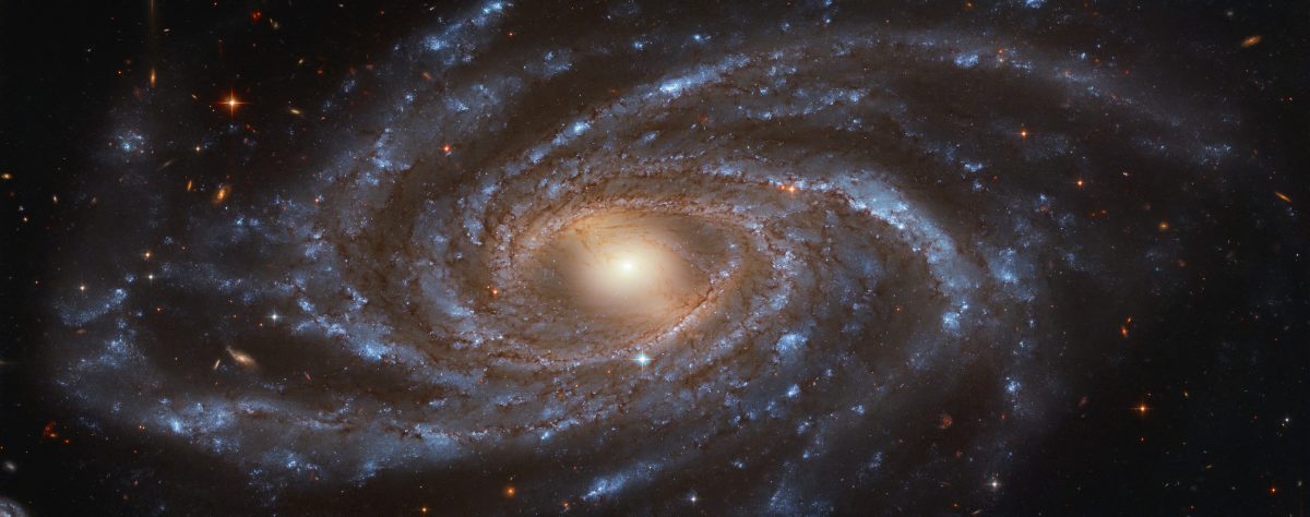 棒渦巻銀河「NGC 2336」（Credit: ESA/Hubble & NASA, V. Antoniou; Acknowledgement: Judy Schmidt）