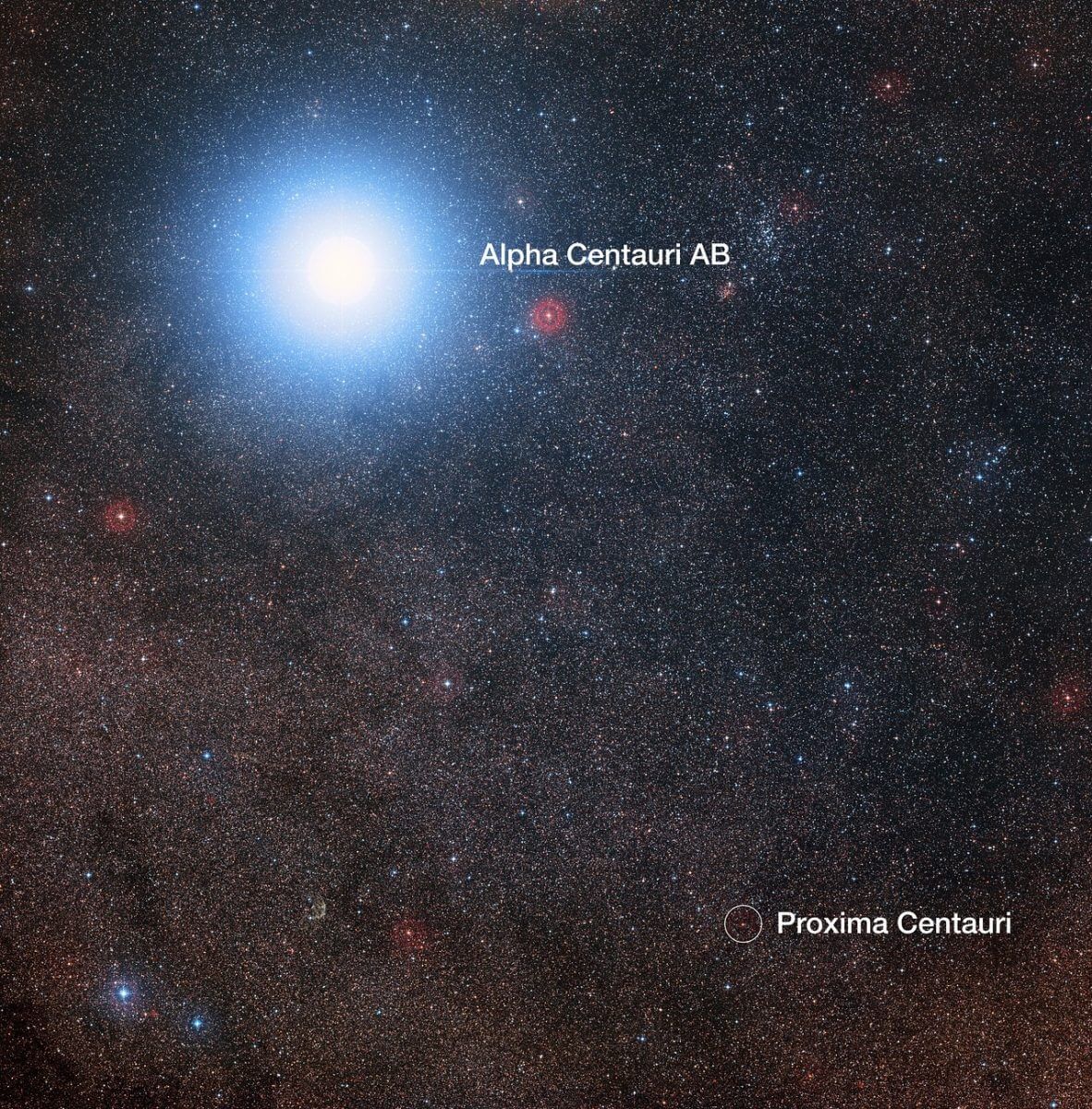 ケンタウルス座アルファ星A・同B（Aplha Centauri AB、左上）とプロキシマ・ケンタウリ（Proxima Centauri、右下の円内）周辺の様子。A星とB星は単一の星のように見えている（Credit: Digitized Sky Survey 2, Acknowledgement: Davide De Martin/Mahdi Zamani）