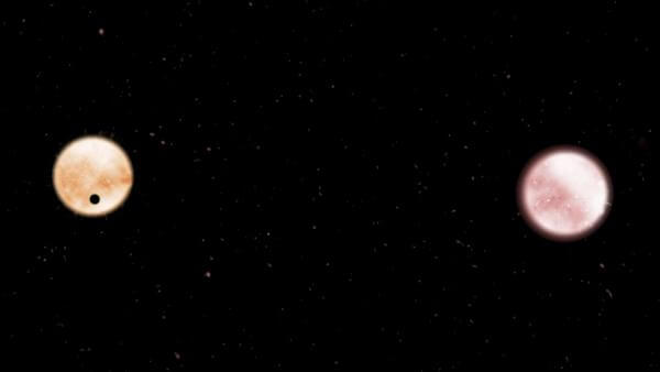 TIC 172900988 bによるトランジットの様子を示したイメージ図。連星を組む恒星のうち片方（右）を横切った約5日後に、今度はもう片方（左）の恒星を横切る様子が検出された（Credit: PSI/Pamela L. Gay.）