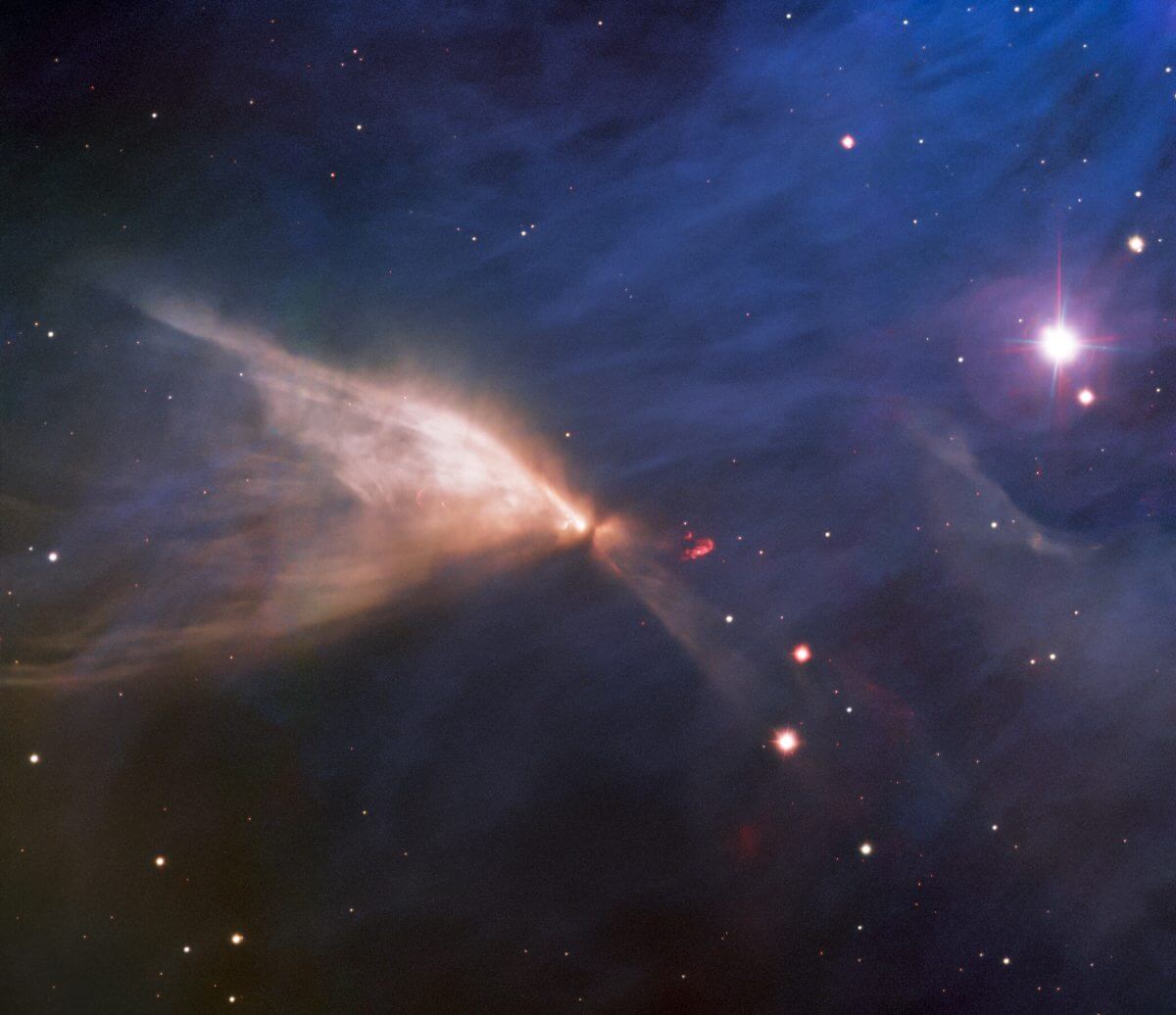 片翼の蝶「カメレオン座赤外星雲」【今日の宇宙画像】
