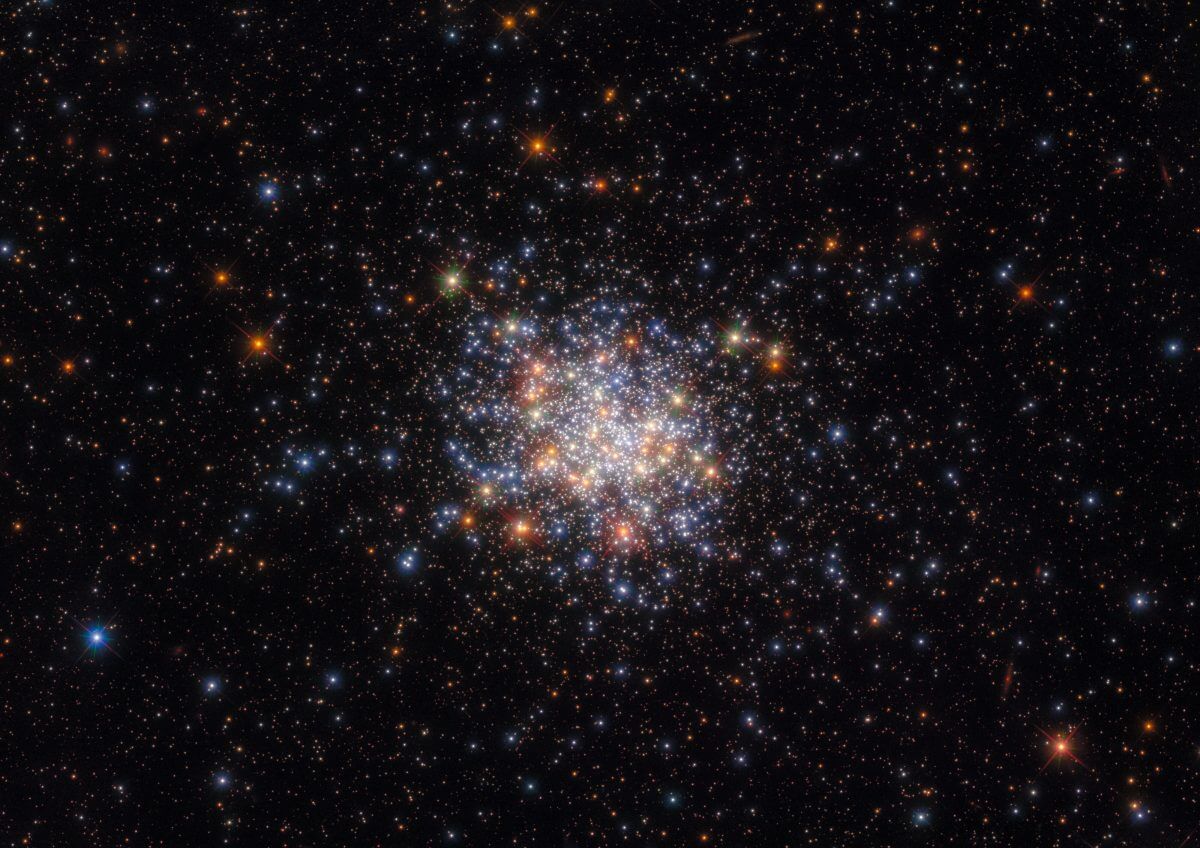 大マゼラン雲の散開星団「NGC 1755」（Credit: ESA/Hubble & NASA, A. Milone, G. Gilmore）