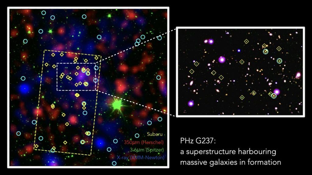 原始銀河団G237の画像。各銀河は観測した波長によって色分けされています。右側の画像は、その中心領域を拡大したもので、この領域では盛んに星が誕生している（Credit: ESA/Herschel and XMM-Newton; NASA/Spitzer; NAOJ/Subaru; Large Binocular Telescope; ESO/VISTA. Polletta, M. et al. 2021; Koyama, Y. et al. 2021）
