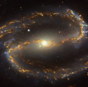 可視光と電波、異なる波長で観測された棒渦巻銀河「NGC 1300」