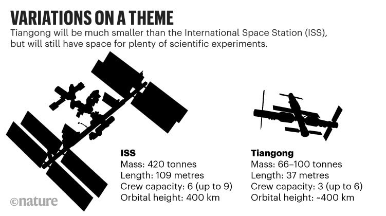 国際宇宙ステーション（ISS、左）と天宮（右）の比較（Credit:Nature）