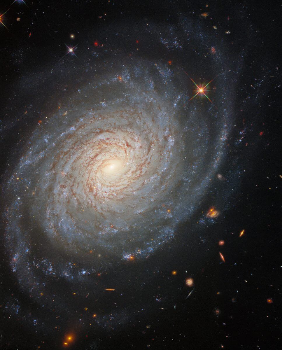 渦巻銀河「NGC 976」（Credit: ESA/Hubble & NASA, D. Jones, A. Riess et al.）
