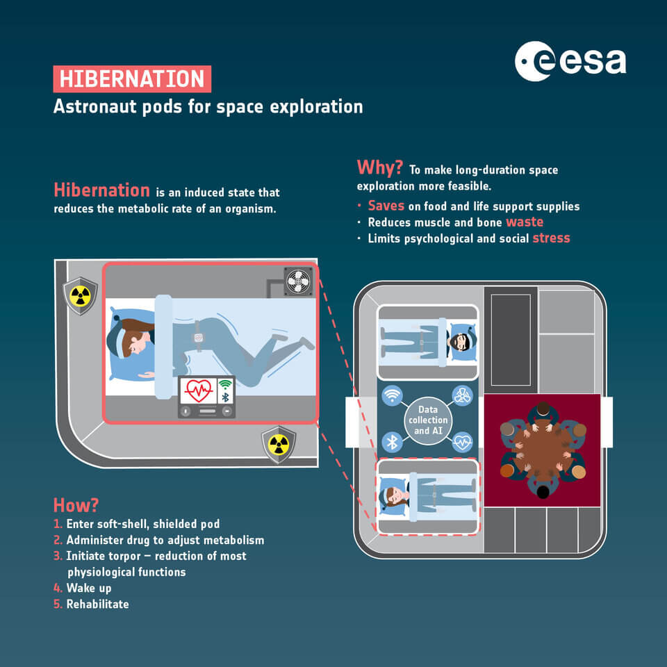 Hibernation_infographics_article（Credit：ESA）