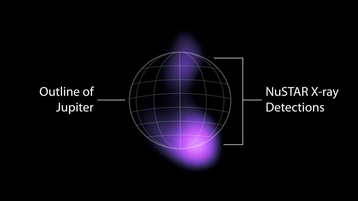 今回観測された高エネルギーX線は、正確な位置は特定できませんでしたが、紫色に着色された木星の両極付近のいずれかからきているといいます（Credit:NASA/JPL-Caltech）