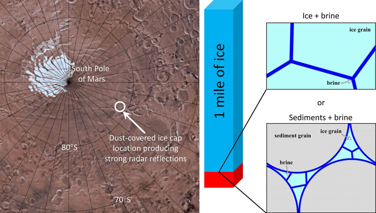 MARSISが強い反射信号を捉えた場所を示した地図（左）と、予想される水の状態を示した図（右）。氷（水色）や堆積物（灰色）の粒子の隙間に塩水（青色）が入り込んでいる可能性があるという（Credit: NASA/JPL-Caltech/USGS/SwRI）