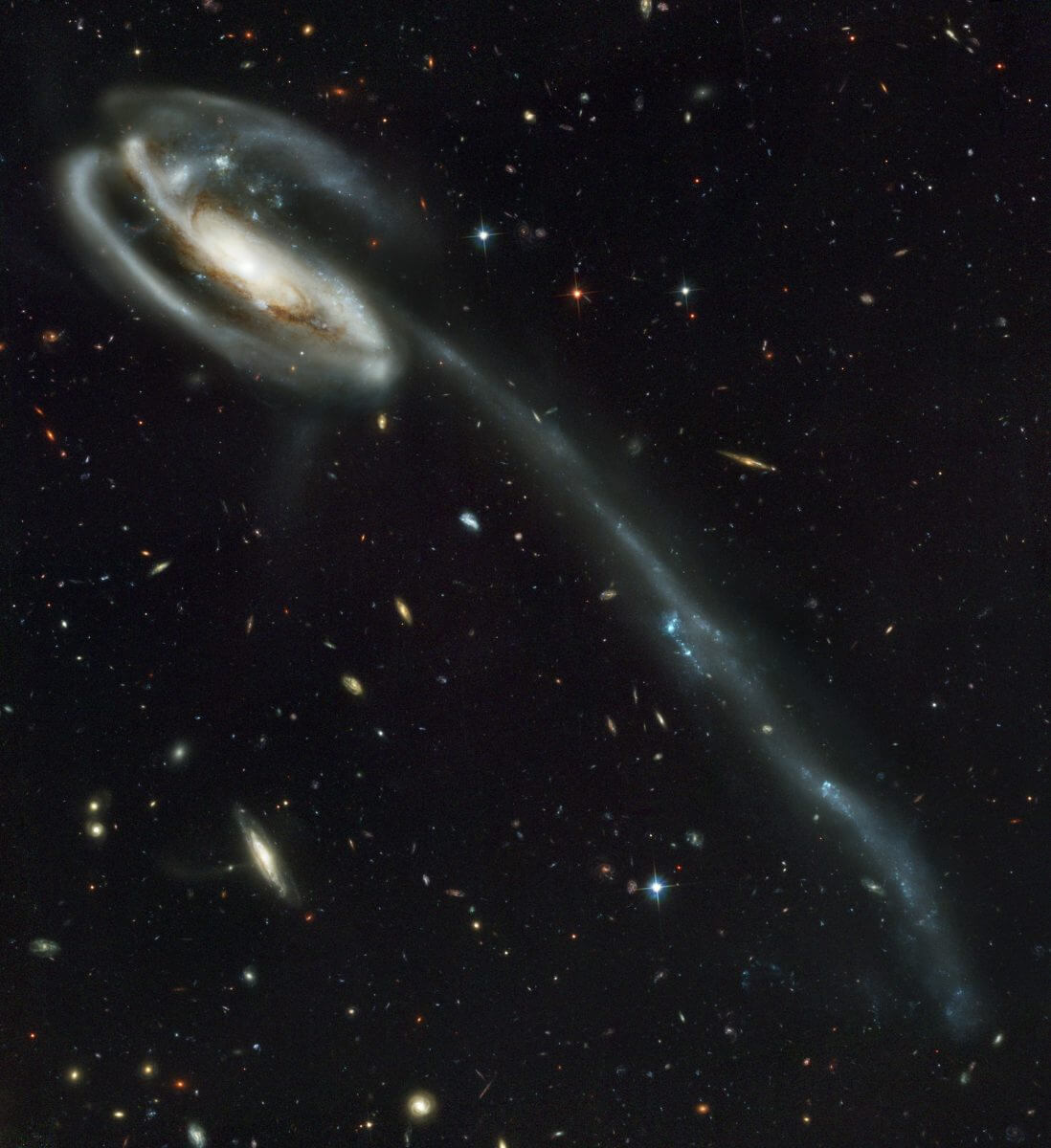 銀河「UGC 10214」、通称「おたまじゃくし銀河」（Credit: NASA, H. Ford (JHU), G. Illingworth (UCSC/LO), M.Clampin (STScI), G. Hartig (STScI), the ACS Science Team, and ESA ）