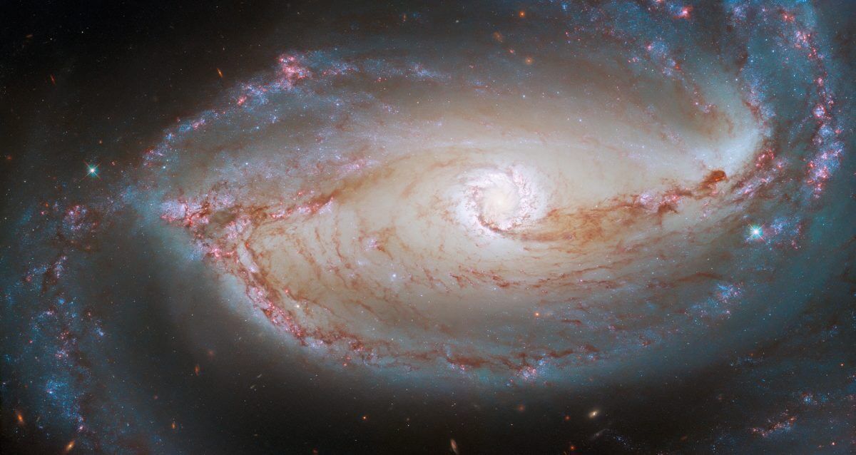 棒渦巻銀河「NGC 1097」の中心部分（Credit: ESA/Hubble &amp; NASA, D. Sand, K. Sheth）