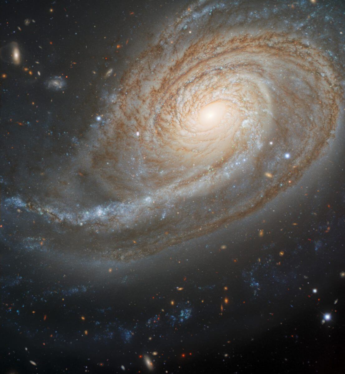 渦巻銀河「NGC 772」（Credit: Image Credit: International Gemini Observatory/NOIRLab/NSF/AURA; Image Processing: T.A. Rector (University of Alaska Anchorage), J. Miller (Gemini Observatory/NSF's NOIRLab), M. Zamani &amp; D. de Martin）