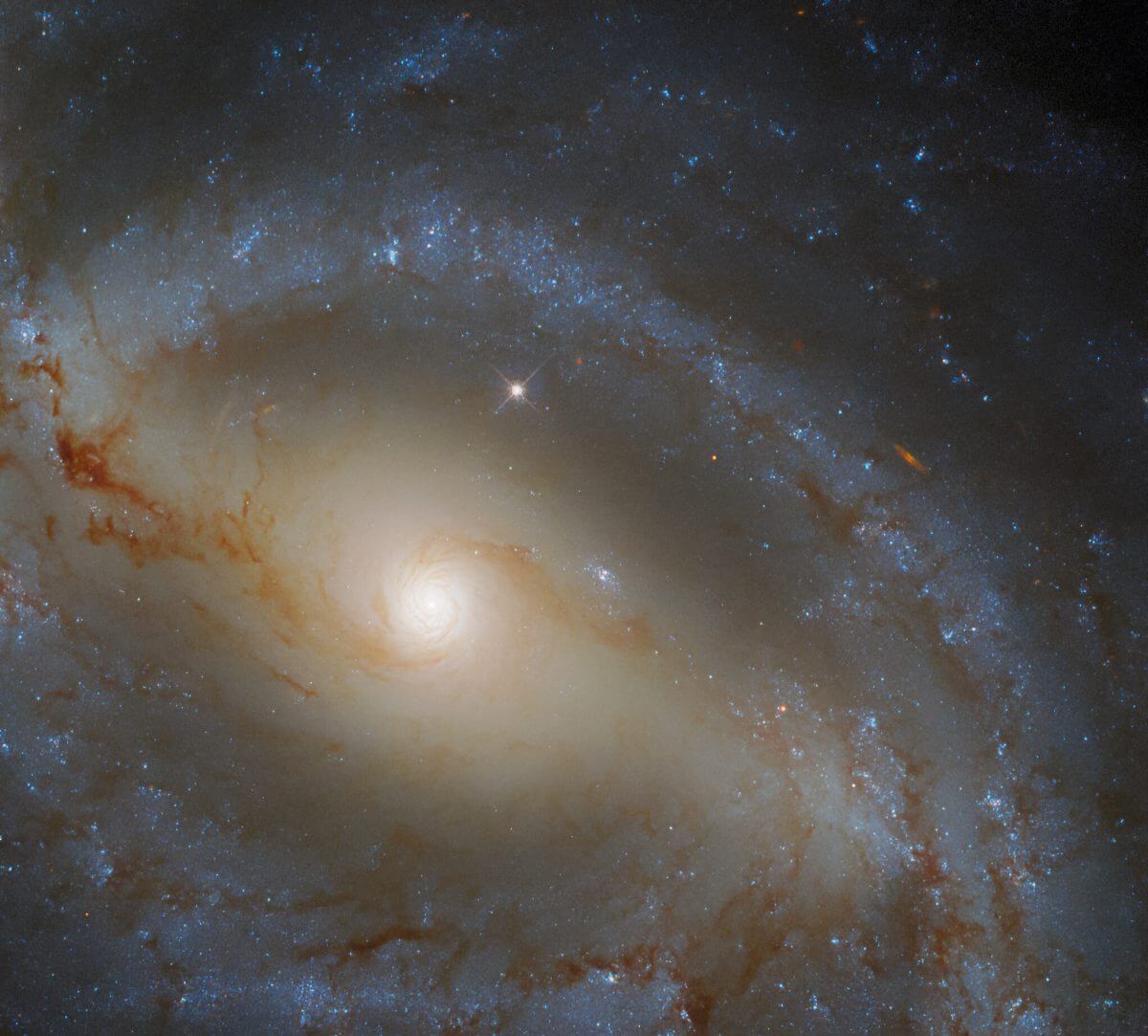 棒渦巻銀河「NGC 5921」（Credit: ESA/Hubble &amp; NASA, J. Walsh; Acknowledgement: R. Colombari）