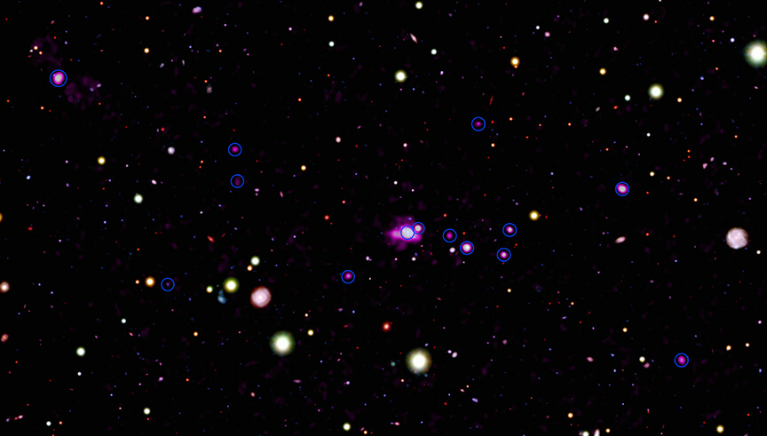 クモの巣銀河周辺の様子。すばる望遠鏡が撮影した画像を背景に、チャンドラのX線観測データ（紫色）を合成（Credit: X-ray: NASA/CXC/INAF/P. Tozzi et al; Optical (Subaru): NAOJ/NINS）