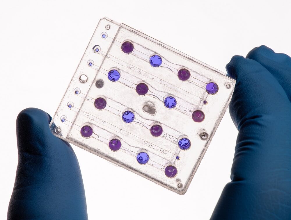 【▲NASAエイムズ研究センターで開発されたバイオセンチネルで用いられるマイクロ流体カード。軌道上では、３色のLED検出システムと酵母の活性を読み取る色素を用いて、酵母の成長と代謝活性を測定します。（Credit：NASA / Dominic Hart）】