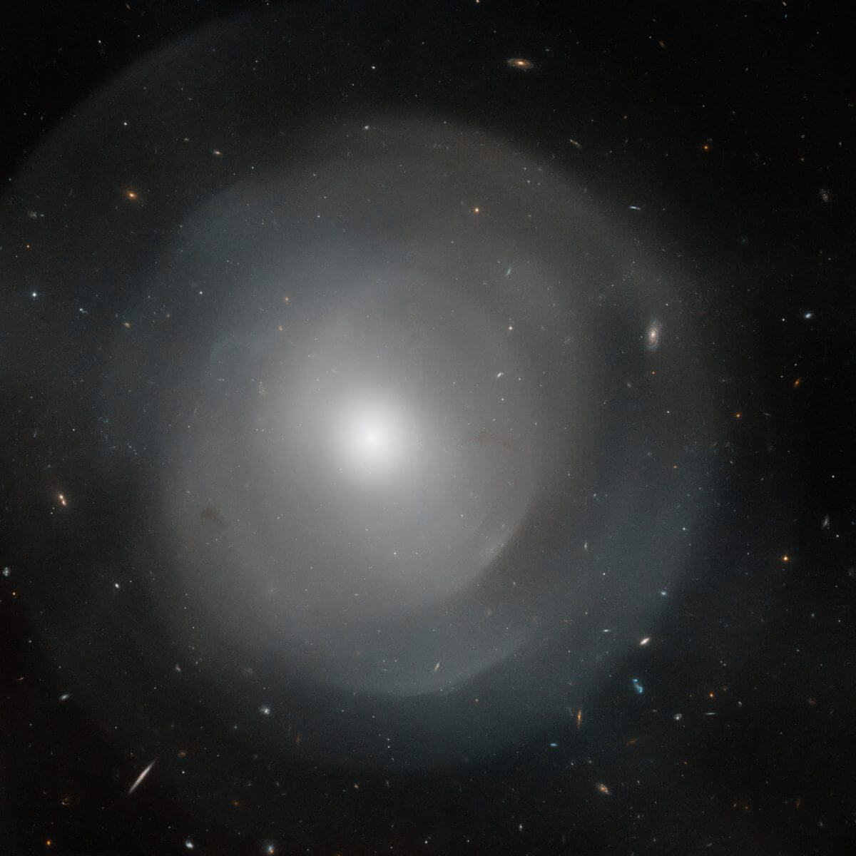 【▲ シェル構造を持つ楕円銀河「NGC 474」（Credit: NASA, ESA, and D. Carter (Liverpool John Moores University); Image processing: G. Kober (NASA Goddard/Catholic University of America)）】
