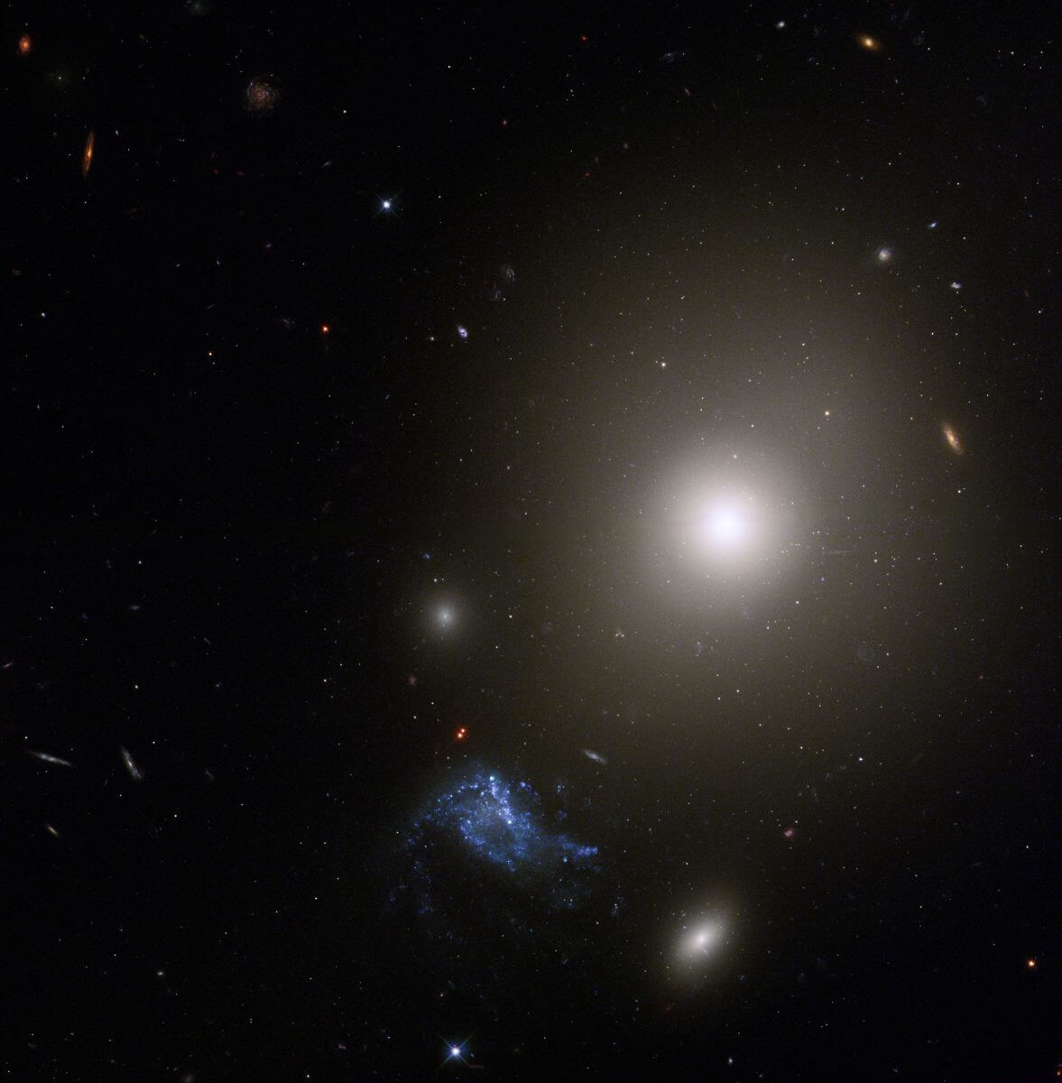【▲ 楕円銀河「NGC 541」（Image Credit: NASA, ESA, and S. Croft (Eureka Scientific Inc.); Image Processing: Gladys Kober (NASA Goddard/Catholic University of America)）】