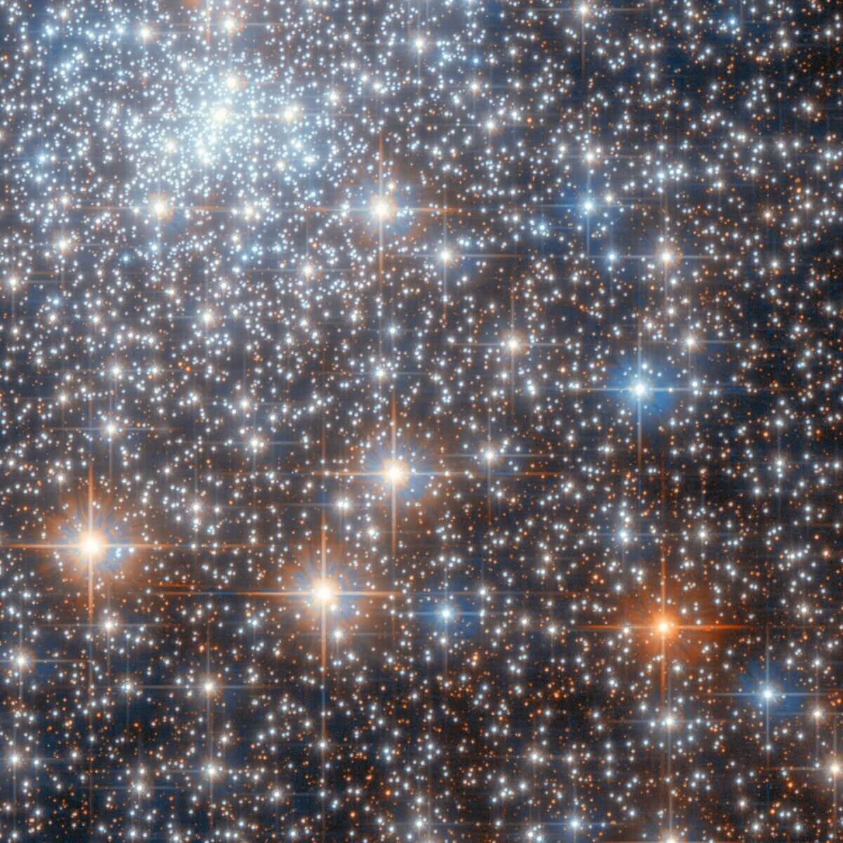 【▲ 冒頭の画像の一部を拡大したもの。無数の星々が視野を埋め尽くしている（Credit: ESA/Hubble &amp; NASA, R. Cohen）】