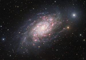 活発な星形成活動を示す赤い輝きに彩られた“きりん座”の渦巻銀河
