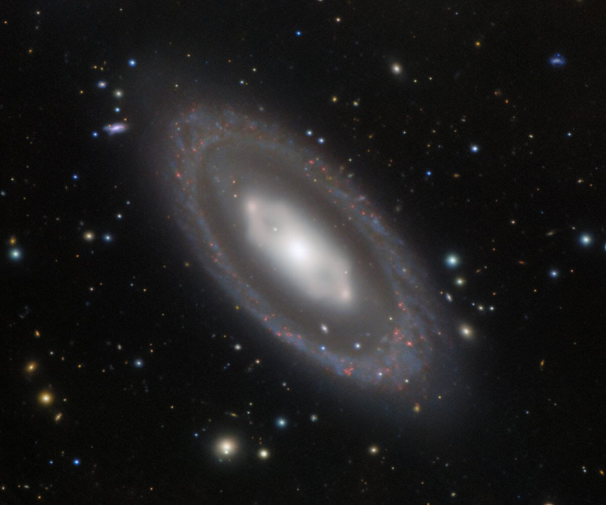 【▲ 棒状レンズ状銀河「NGC 7020」（Credit: International Gemini Observatory/NOIRLab/NSF/AURA/H. Dottori, R. J. Díaz, G. Gimeno; Image Processing: T.A. Rector (University of Alaska Anchorage/NSF’s NOIRLab), M. Zamani (NSF’s NOIRLab) & D. de Martin (NSF’s NOIRLab)）】