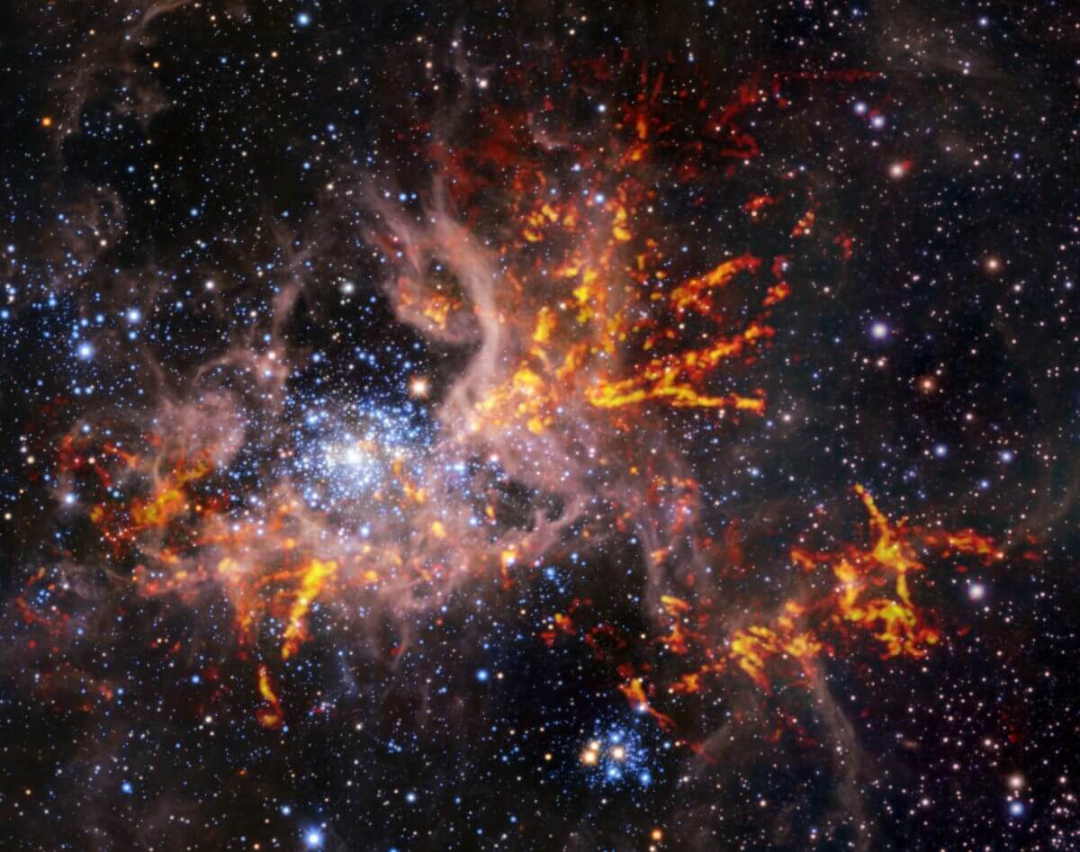 【▲ 赤外線と電波で観測された大マゼラン雲の輝線星雲「かじき座30」、別名「タランチュラ星雲」（Credit: ESO, ALMA (ESO/NAOJ/NRAO)/Wong et al., ESO/M.-R. Cioni/VISTA Magellanic Cloud survey. Acknowledgment: Cambridge Astronomical Survey Unit）】