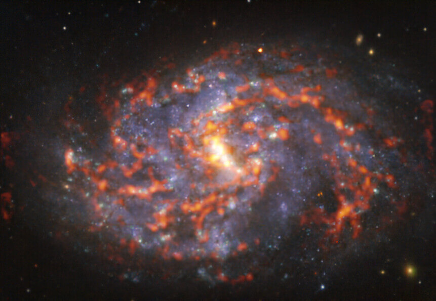 【▲ アルマ望遠鏡（ALMA）と超大型望遠鏡（VLT）が観測した渦巻銀河「NGC 1087」（Credit: ESO/ALMA (ESO/NAOJ/NRAO)/PHANGS）】