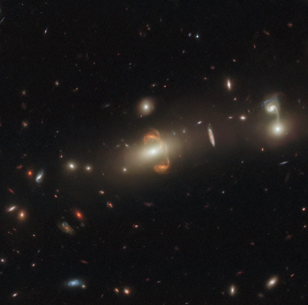 【▲ 重力レンズ効果を受けた銀河「SGAS J143845+145407」（Credit: ESA/Hubble & NASA, J. Rigby）】