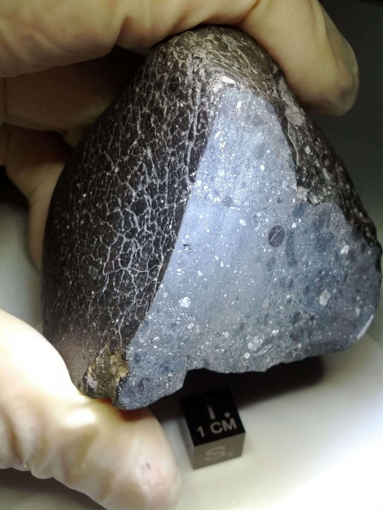 【▲ 図1: 火星隕石のNWA 7034は、その黒っぽい見た目から “ブラック・ビューティー” とも呼ばれています（Credit: NASA）】