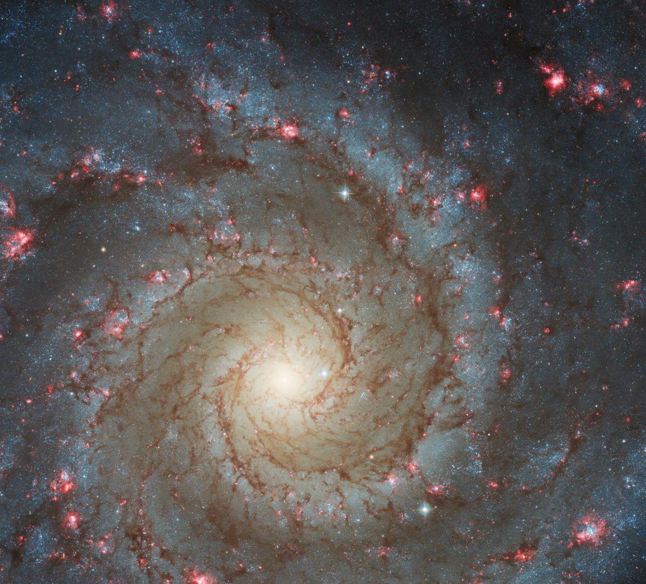【▲ ハッブル宇宙望遠鏡が撮影した渦巻銀河「M74」（Credit: ESA/Hubble & NASA, R. Chandar）】