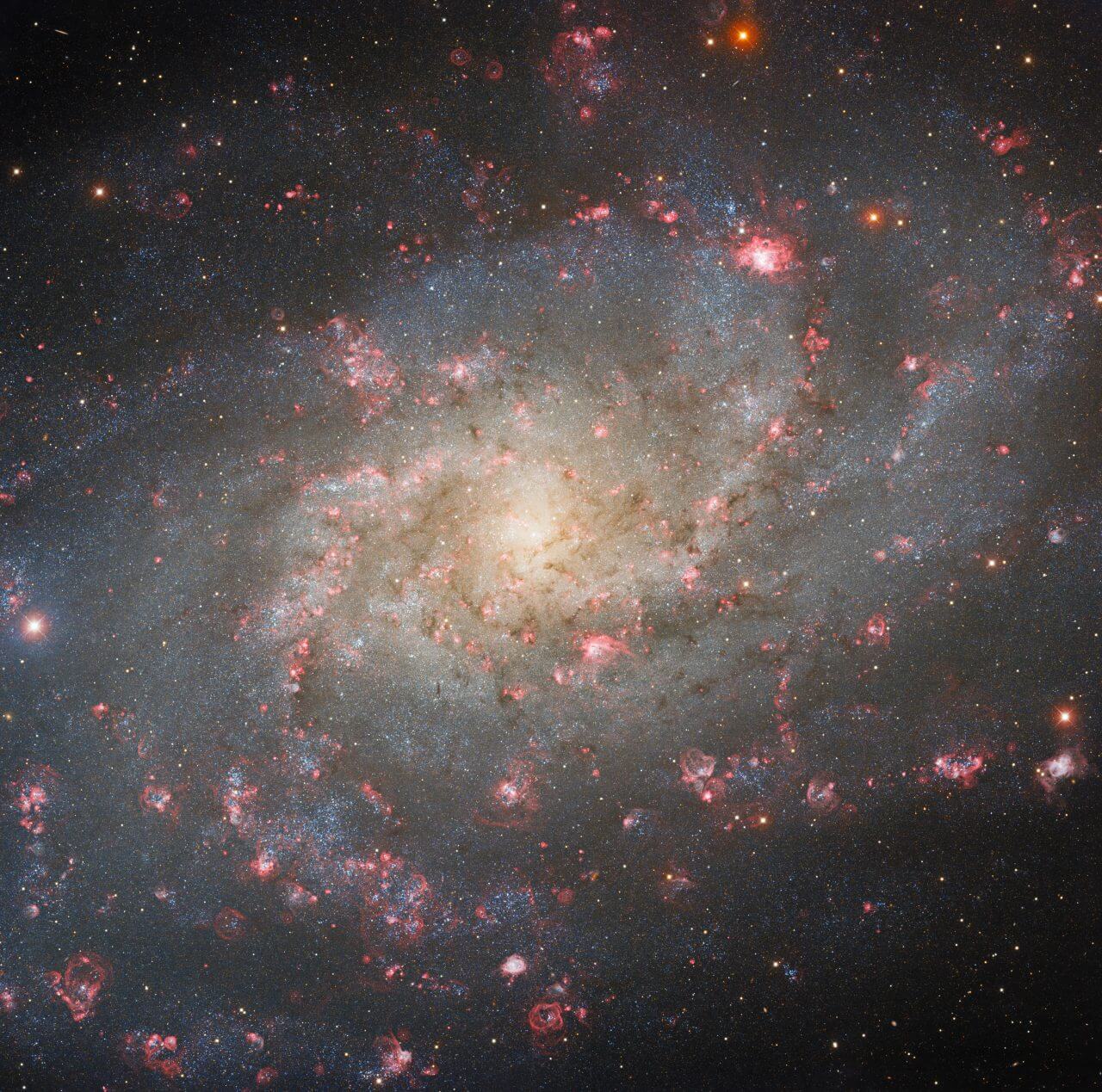 天の川銀河のご近所さん。300万光年先の渦巻銀河「さんかく座銀河