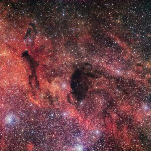 輝く星々の光をさえぎる幽霊のような漆黒の雲、“いて座”の暗黒星雲