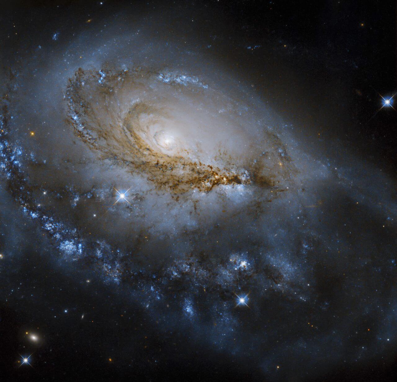【▲中間渦巻銀河「NGC 1961」（Credit: NASA, ESA, J. Dalcanton (University of Washington), R. Foley (University of California - Santa Cruz)）】