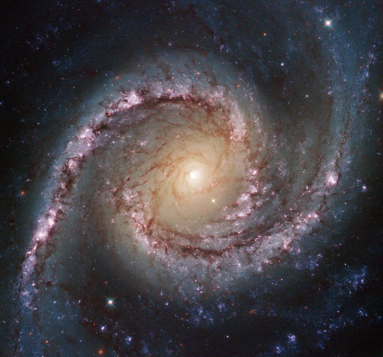 【▲ 渦巻銀河「NGC 1566」（Credit: ESA/Hubble & NASA; Acknowledgement: Flickr user Det58）】