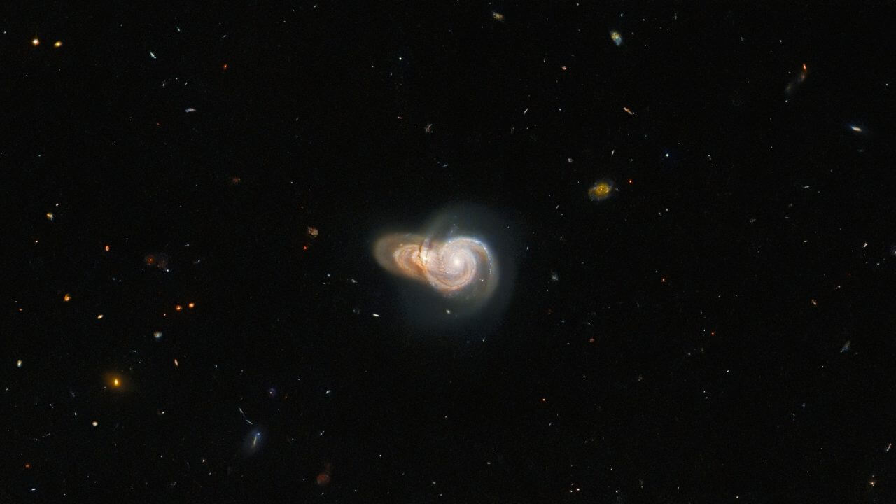 【▲ 重なり合う2つの銀河「SDSS J115331」（左）と「LEDA 2073461」（右）。ESAから公開されたオリジナルバージョン（Credit: ESA/Hubble and NASA, W. Keel）】