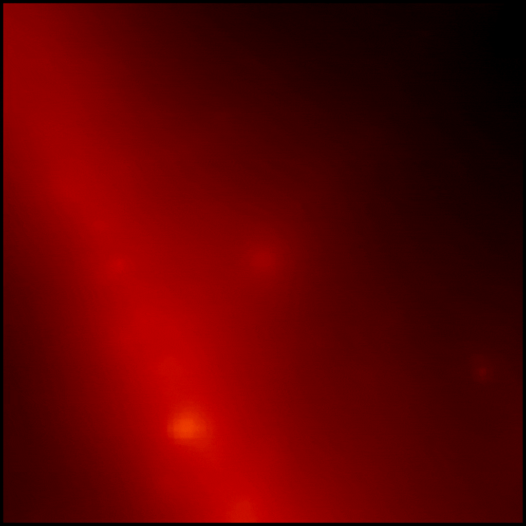 【▲ ガンマ線観測衛星「フェルミ」によるGRB 221009A（中央）の10時間以上に渡るガンマ線観測データから作成されたアニメーション。明るいほどガンマ線強度が強いことを示している（Credit: NASA/DOE/Fermi LAT Collaboration）】