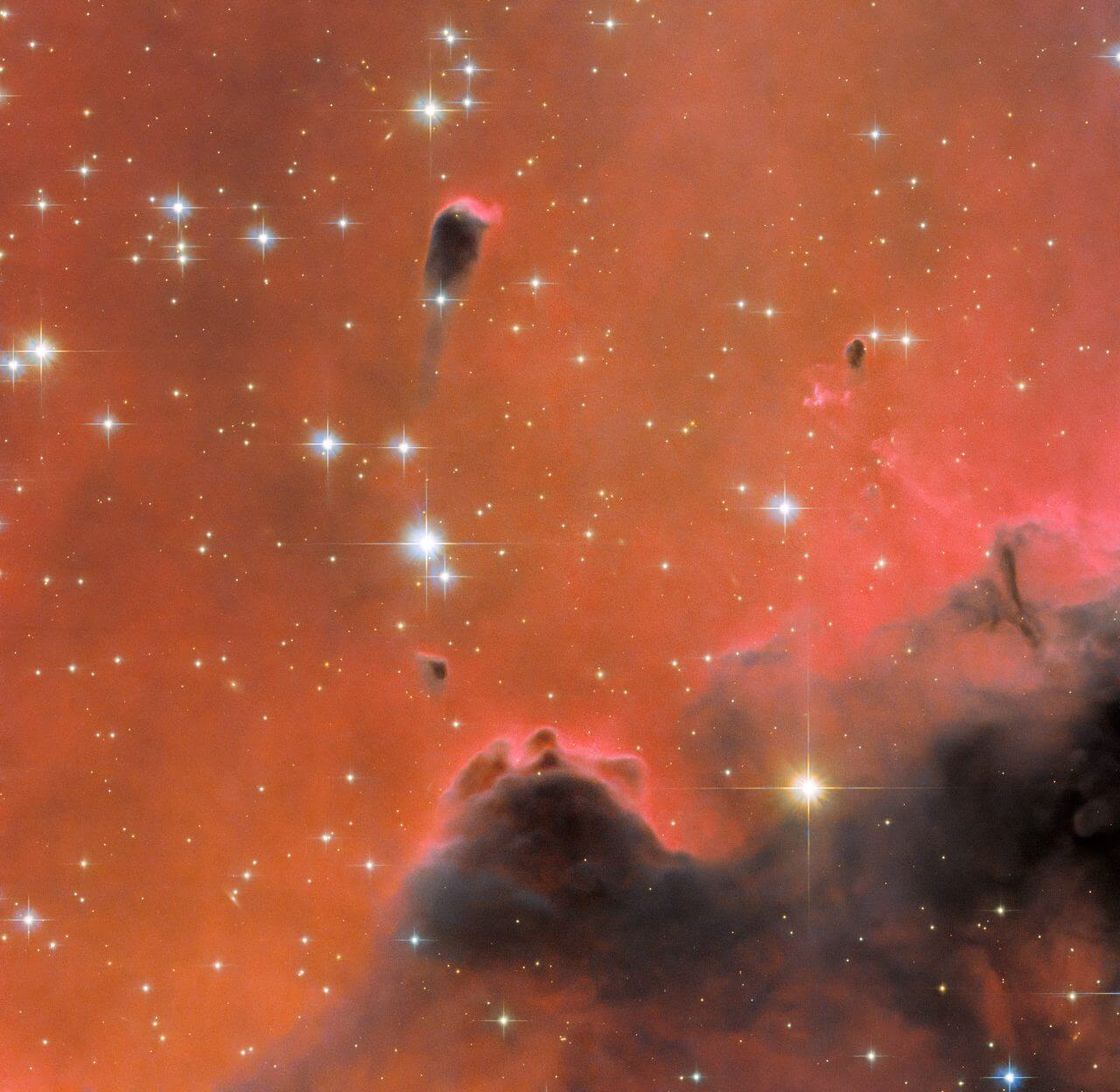 輝線星雲「ウェスターハウト5」に浮かぶfrEGG