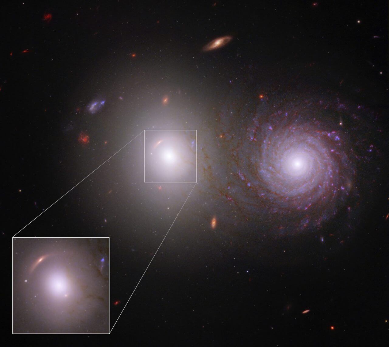 【▲ 銀河のペア「VV 191」（背景）と、楕円銀河の中央付近を拡大した画像（左下）。重力レンズ効果を受けて歪み分裂した遠方の銀河の像が写っている（Credit: NASA, ESA, CSA, Rogier Windhorst (ASU), William Keel (University of Alabama), Stuart Wyithe (University of Melbourne), JWST PEARLS Team, Alyssa Pagan (STScI)）】