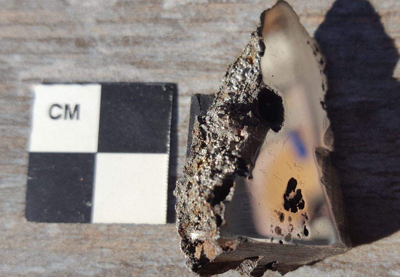【▲ 図1: アルバータ大学で分析されたエル・アリ隕石の断片サンプル。断面のほとんどは鉄ニッケル合金だが、サンプル下側にある茶色っぽい斑点部分には硫化物や酸化物など、純粋な金属ではない物質が含まれている。今回報告された2種類の鉱物もここから見つかった。 (Image Credit: Herd, et.al.) 】