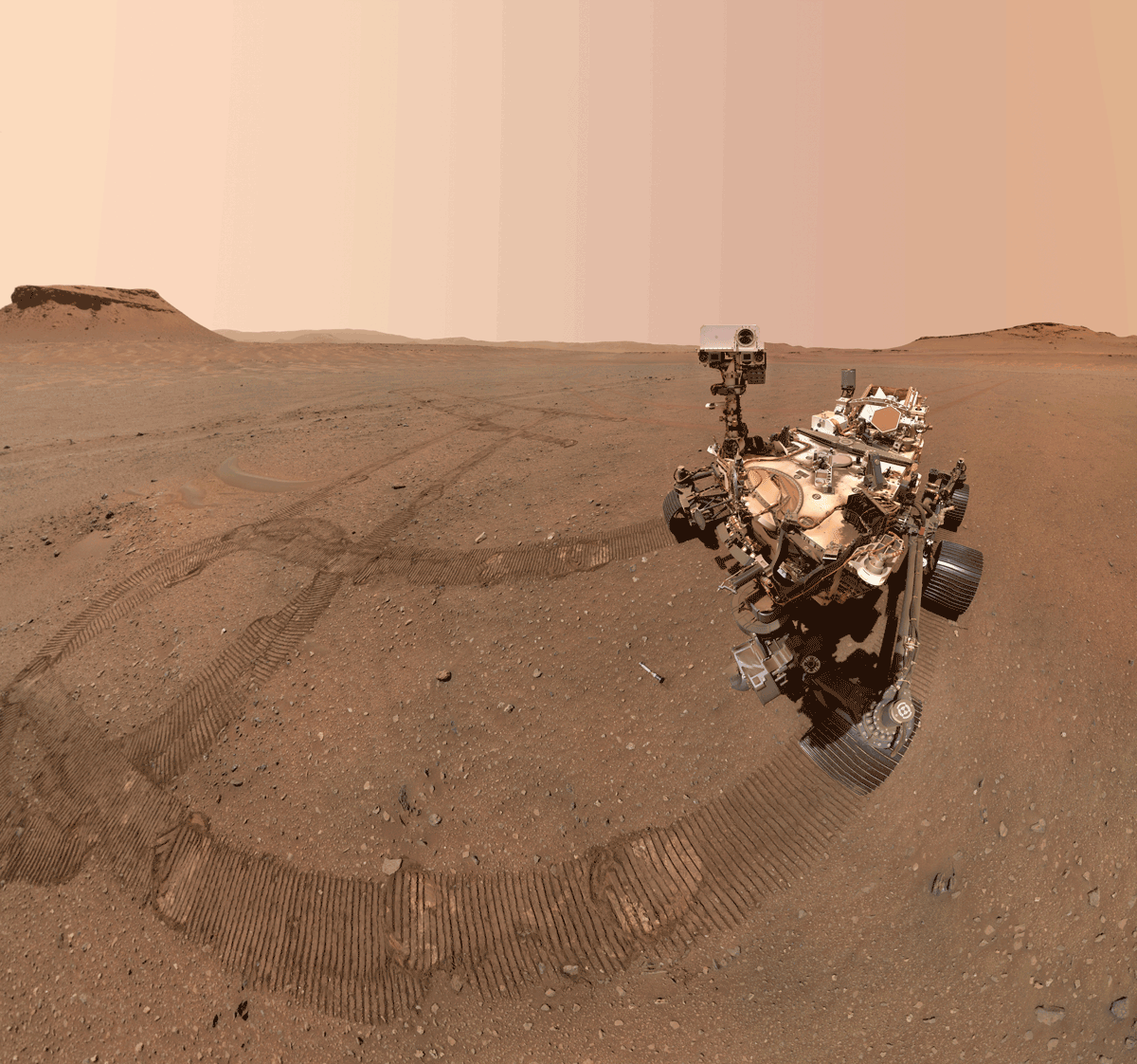 【▲ 火星探査車Perseverance（パーシビアランス）の最新セルフィー。地面に置かれたサンプル保管容器を見下ろすアニメーションバージョン（Credit: NASA/JPL-Caltech/MSSS）】