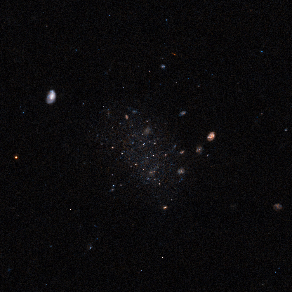【▲ 超低光度矮小銀河「Donatiello II（ドナティエロII）」（オリジナル画像の中央付近を拡大したもの）（Credit: ESA/Hubble & NASA, B. Mutlu-Pakdil; Acknowledgement: G. Donatiello）】