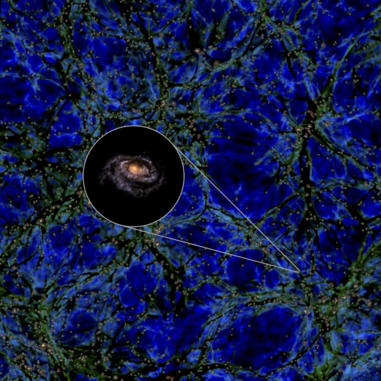 【▲ 図1: 宇宙における銀河の分布は、空洞を囲むような平面に分布しています。私たちの天の川銀河もそのような平面であるローカルシートに分布していますが、天の川銀河の大きさはローカルシートに対して大きいという謎がありました。 (Image Credit: Miguel A. Aragon-Calvo / Simulation Data: Illustris TNG project) 】