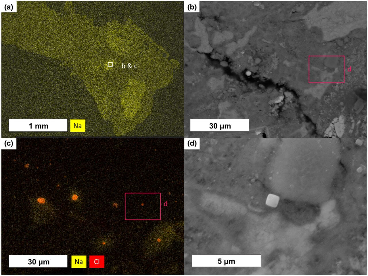 【▲ 図3: ウィンチカム隕石に観られる塩化ナトリウム。図dで明らかなように、塩化ナトリウムは典型的な立方体の結晶を示している。 (Image Credit: Jenkins, et.al.) 】