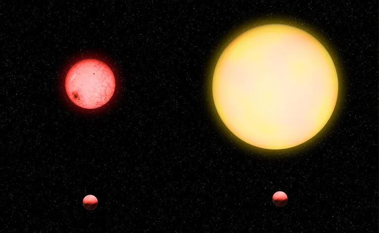 【▲ 図2: TOI-5205 (左上) とTOI-5205b (左下) 、太陽 (右上) と木星 (右下) のそれぞれの大きさの比較。TOI-5205bと木星は大きさがほぼ同じであるため、太陽よりも小さな恒星であるTOI-5205に対する比率は相対的に大きくなる。 (Image Credit: Katherine Cain, courtesy of the Carnegie Institution for Science) 】