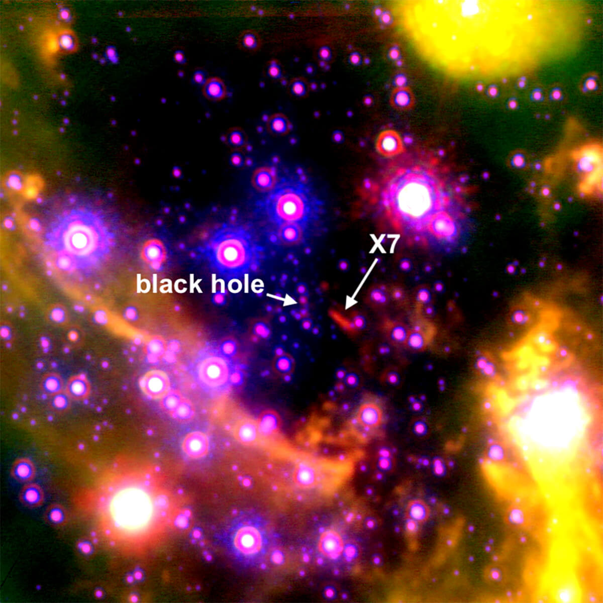【▲ 図1: 天の川銀河中心部の画像。超大質量ブラックホール「いて座A*」のすぐ近くにある数多くの天体の中でも、X7は特徴的な細長い形をしている。 (Image Credit: Anna Ciurlo/UCLA) 】