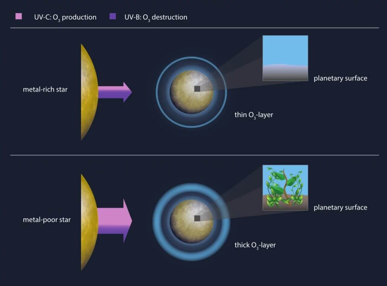 【▲ 金属に富む恒星（上段）と金属に乏しい恒星（下段）が惑星のオゾン層形成に与える影響を比較した図。金属に富む恒星は金属に乏しい恒星よりも紫外線放射は少ないが、オゾン層の形成を助けるUV-C（ピンク色）の比率がオゾン層を破壊するUV-B（紫色）よりも小さいため、形成されるオゾン層は希薄になり、惑星表面に生命の出現は望めない。一方、金属に乏しい恒星は逆の状況を作り出し、生命の出現にとって好条件となる（Credit：MPS/hormesdesign.de）】