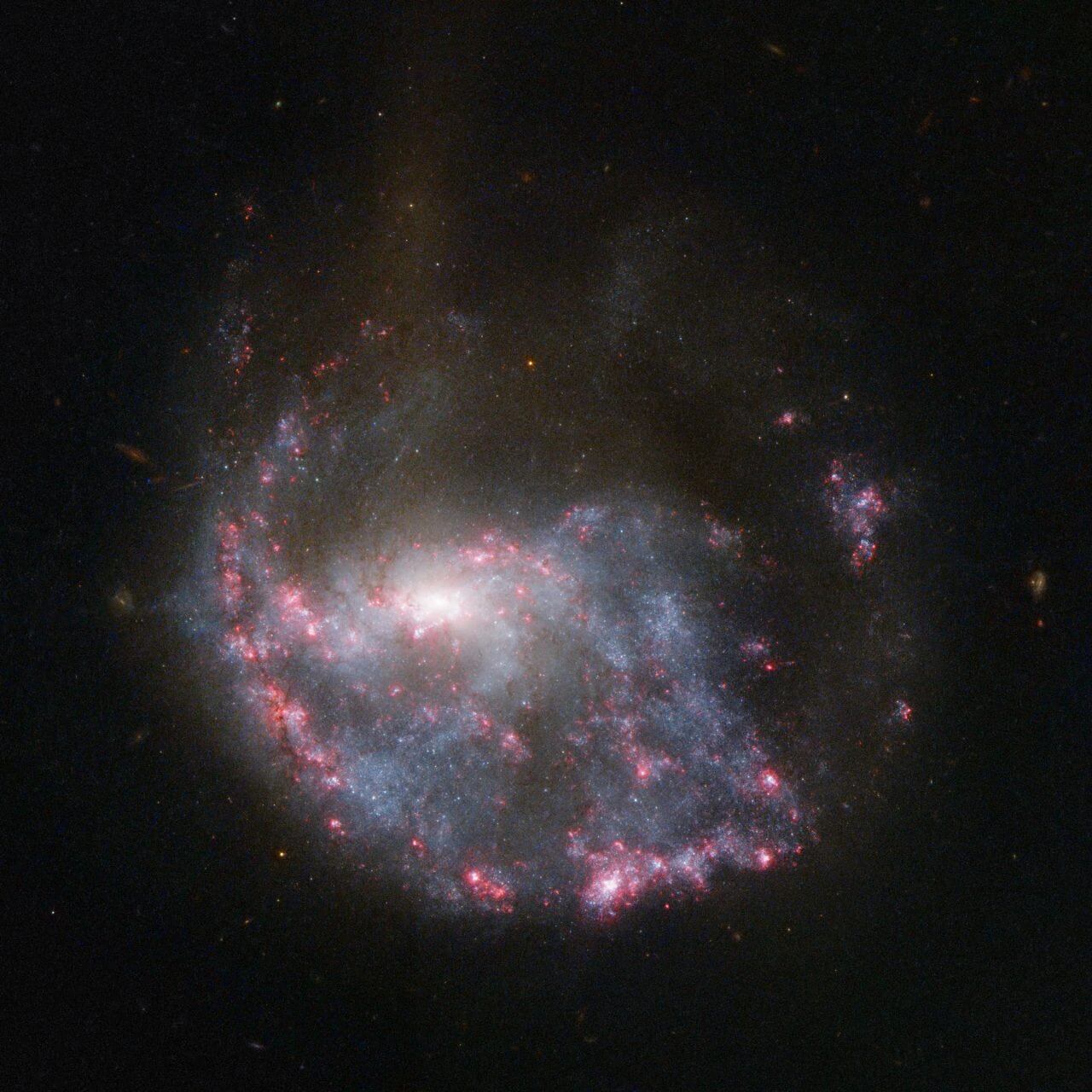【▲ ハッブル宇宙望遠鏡で撮影された銀河「NGC 922」（Credit: NASA and ESA）】