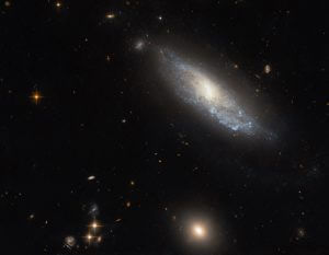 柔らかに渦巻き輝く“くじら座”の銀河　ハッブル宇宙望遠鏡で撮影