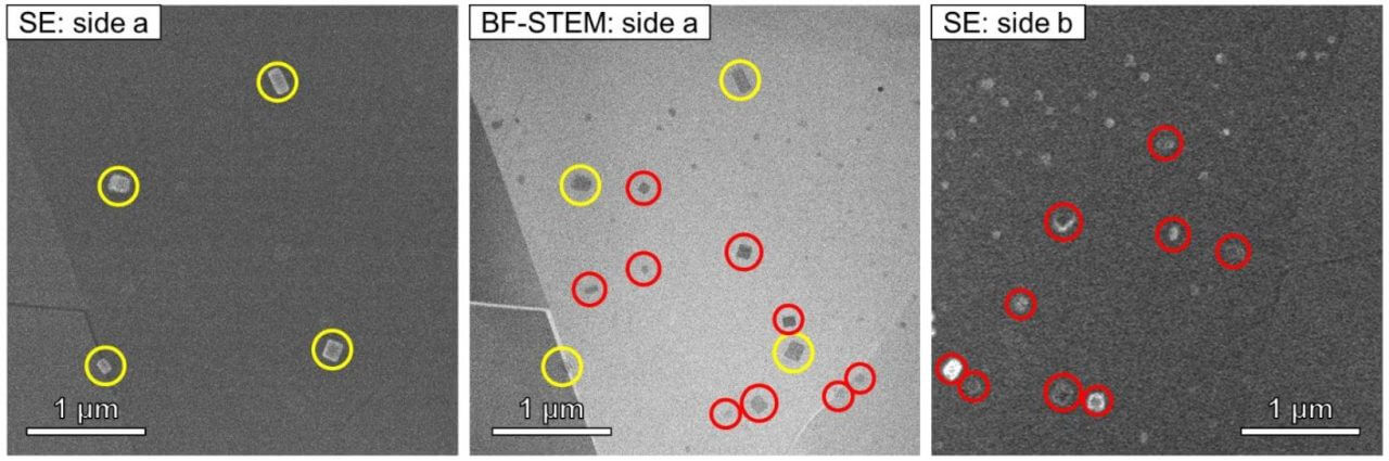 【▲ 図2: イトカワのサンプルから見つかった塩化ナトリウムの結晶 (丸で囲まれた結晶) 。大きさは1µm (0.001mm) よりもはるかに小さい。 (Image Credit: Che & Zega) 】