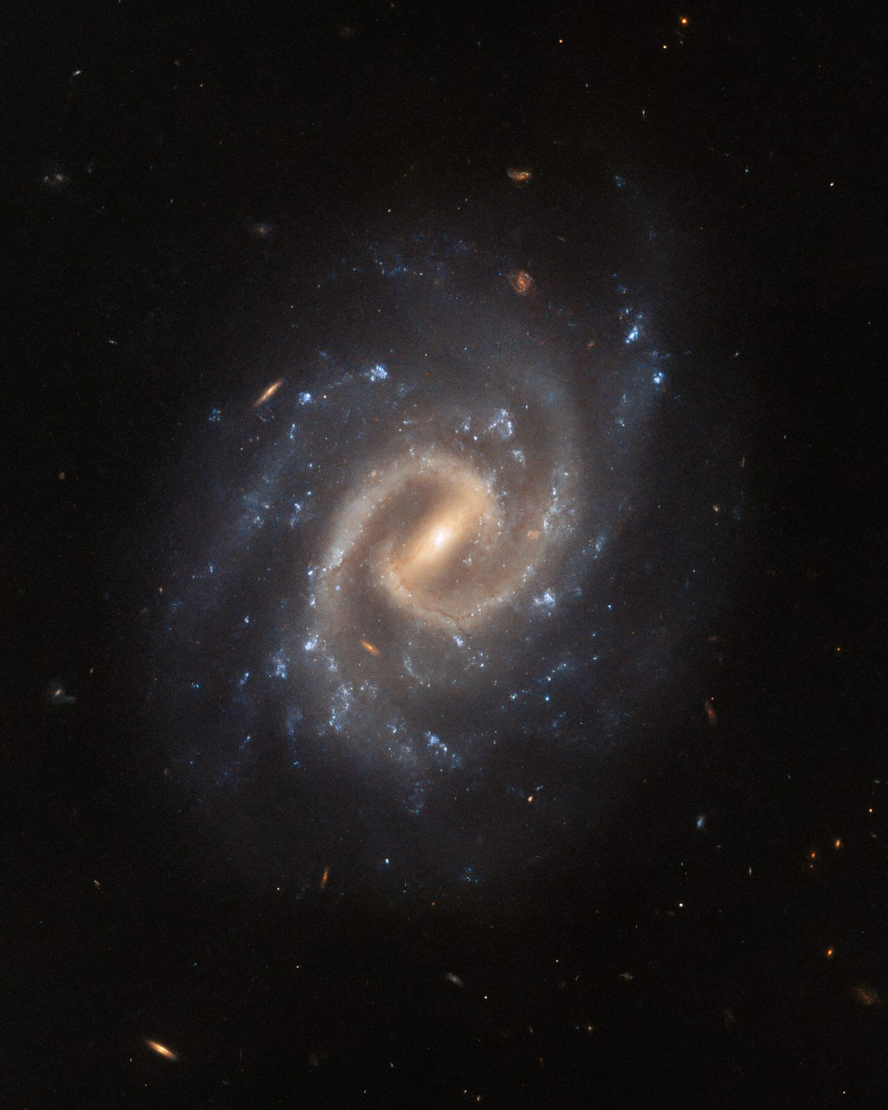 【▲ ハッブル宇宙望遠鏡で撮影された棒渦巻銀河「UGC 12295」（Credit: ESA/Hubble & NASA, A. Filippenko, J. Lyman）】